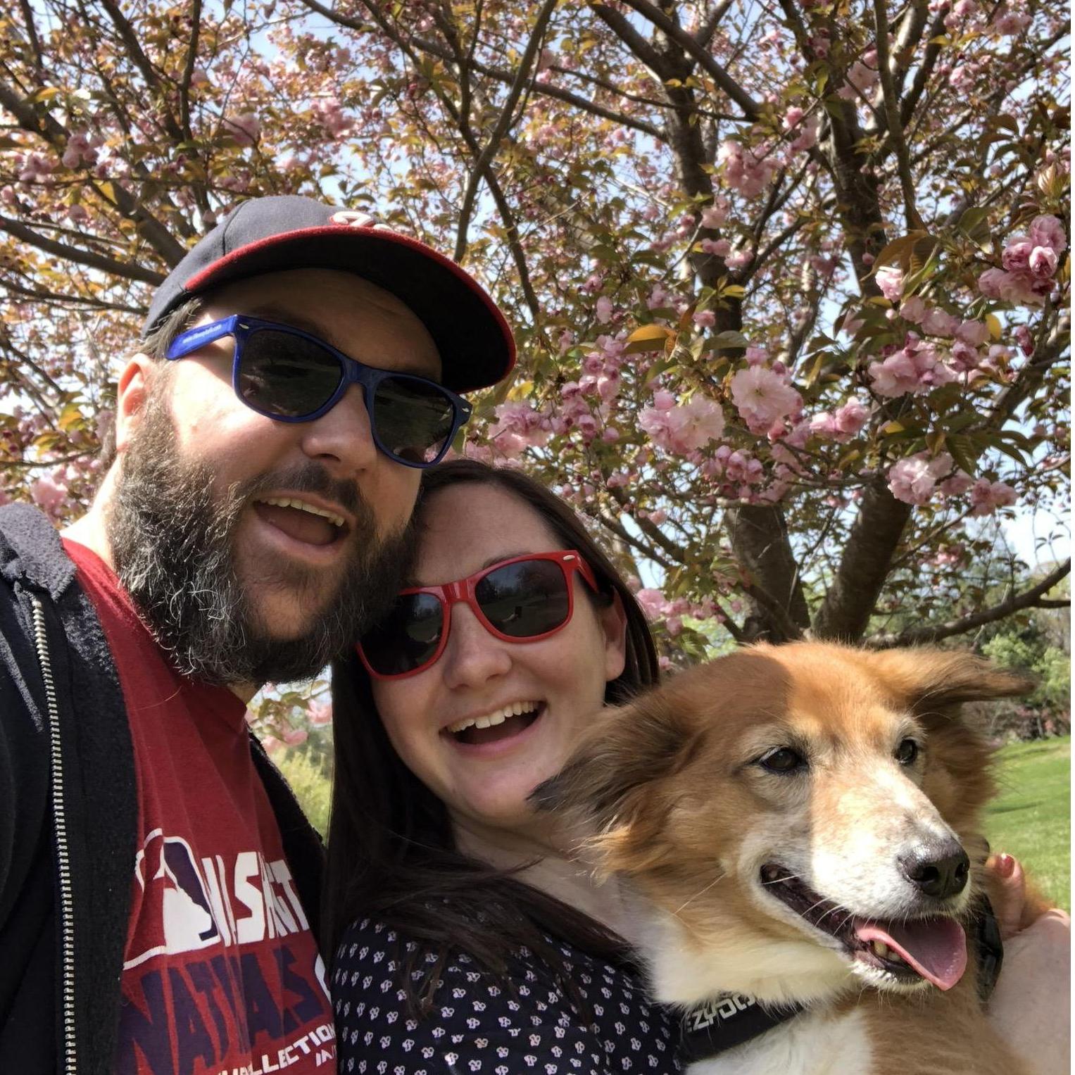 Enjoying Cherry Blossom season in DC 2018