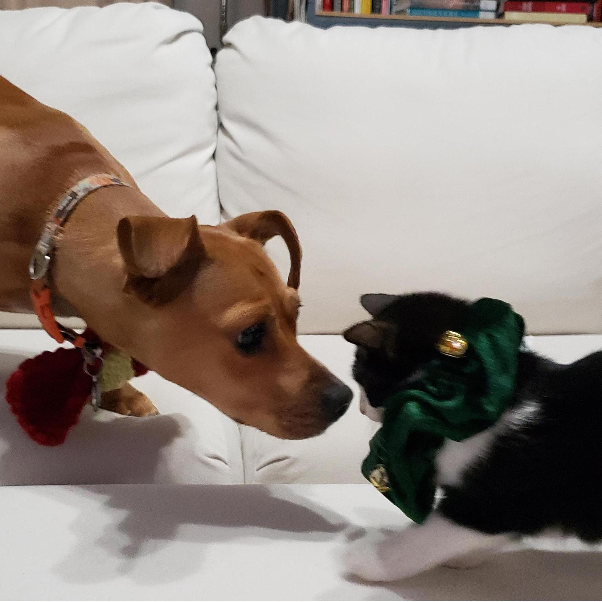 Lucy and Mira