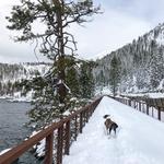 Tahoe East Shore Trail