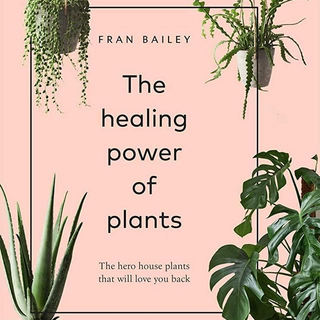The Healing Power of Plants: The Hero Houseplants That Will Love You Back