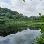 Makamah Nature Preserve