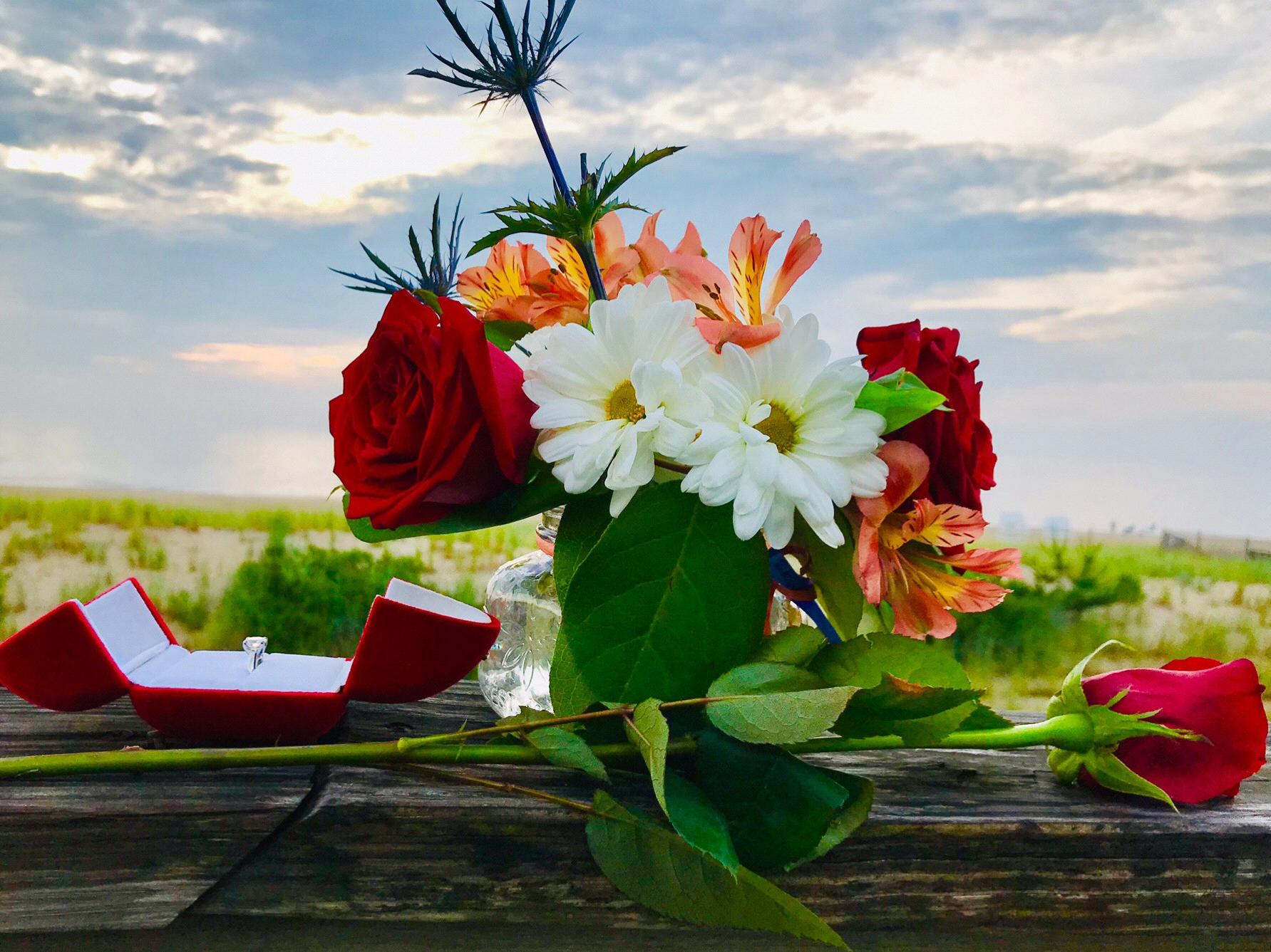 The Wedding Website of Terryl Dozier and Emily Kaufman