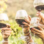 Calaveras Winegrape Alliance