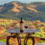 Daou Vineyards & Winery