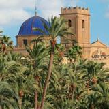 El Palmeral de Elche