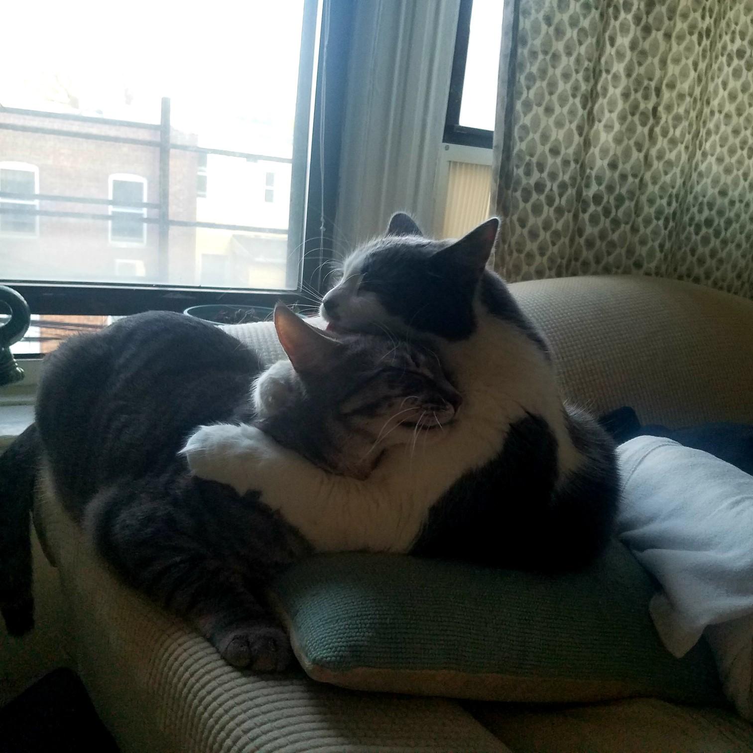 Sometimes you just need a shoulder to lean on when times are tough