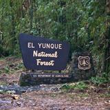 El Yunque National Forest