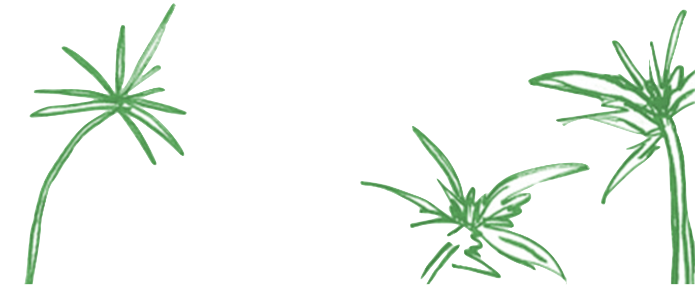 The Wedding Website of Carly Sparano and Austin Sneed