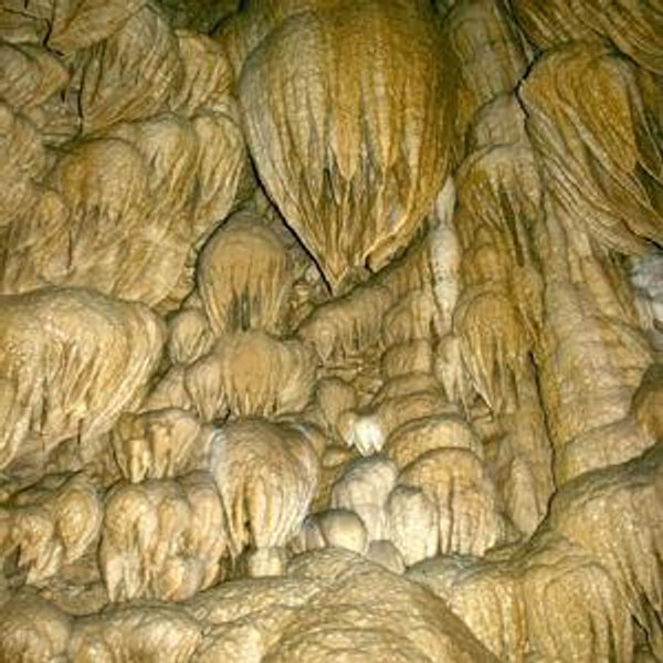 Caves Nat. Monument tour