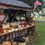 Farmthisway CSA