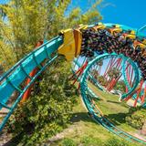 Busch Gardens Tampa Bay