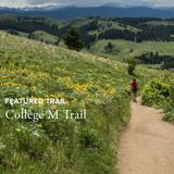 College 'M' Trail