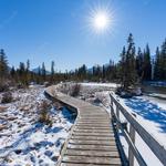 Policeman Creek Trail