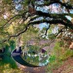 Audubon Park