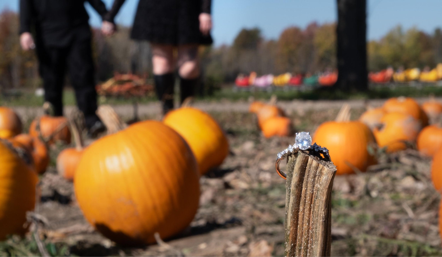 The Wedding Website of Kait lake and Izzie tabaczynski