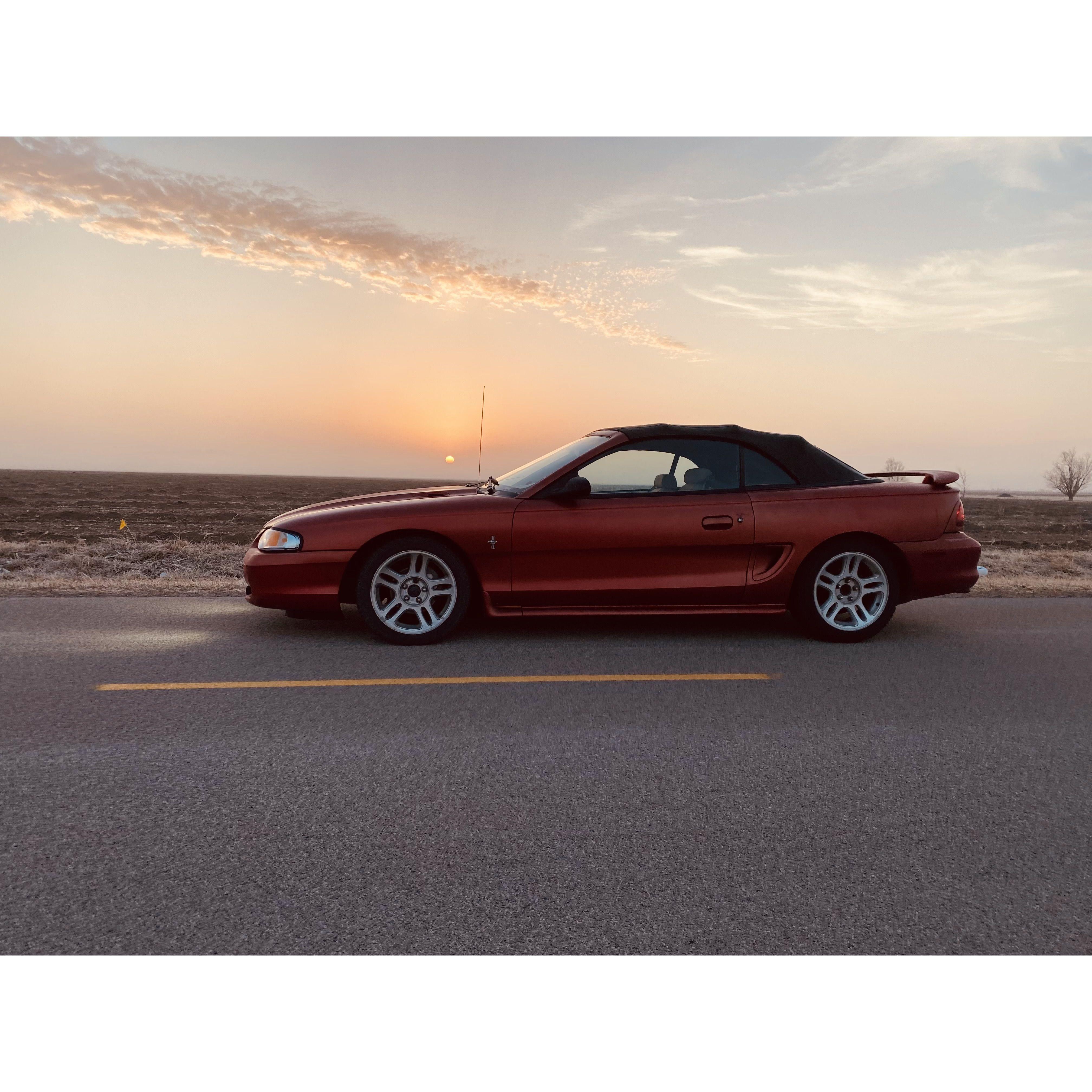 "Casey" the 96 Mustang