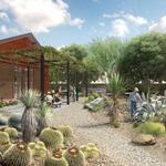 The Ruth Bancroft Garden & Nursery