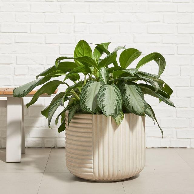 Cecilia Fiberstone Planters, Small, White, 15"