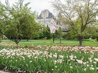 Major's Hill Park