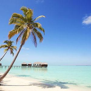 Honeymoon Airfare Fund