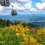 Stratton Mountain