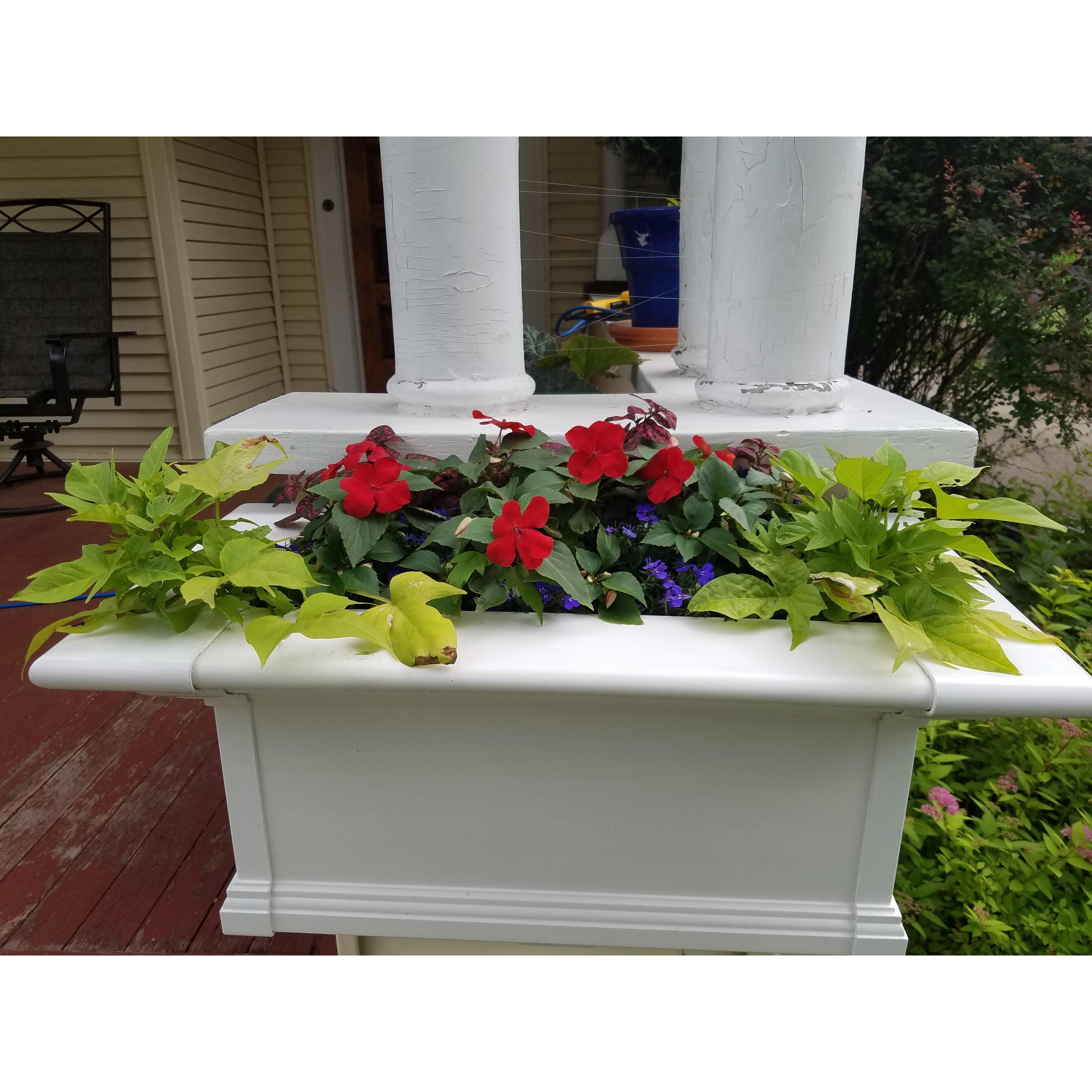 The window boxes we added this year were one of my favorite additions.