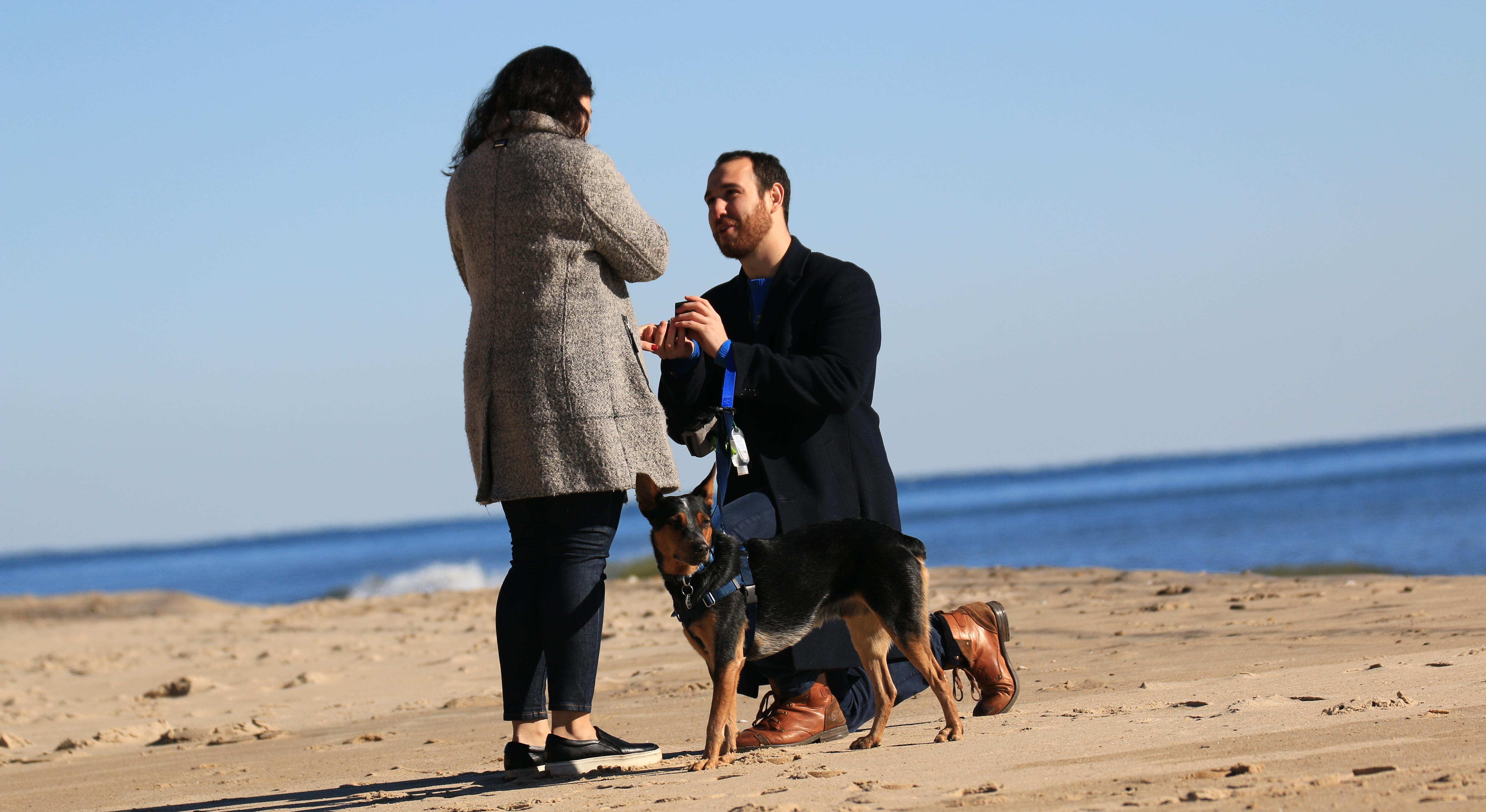 Footer image