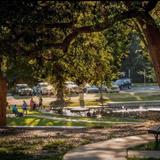 Landa Park