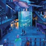 Wonders Of Wildlife National Museum & Aquarium