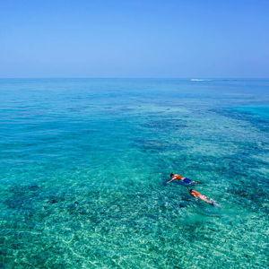 Honeymoon SCUBA Diving