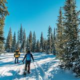 Snowshoeing in the Rockies