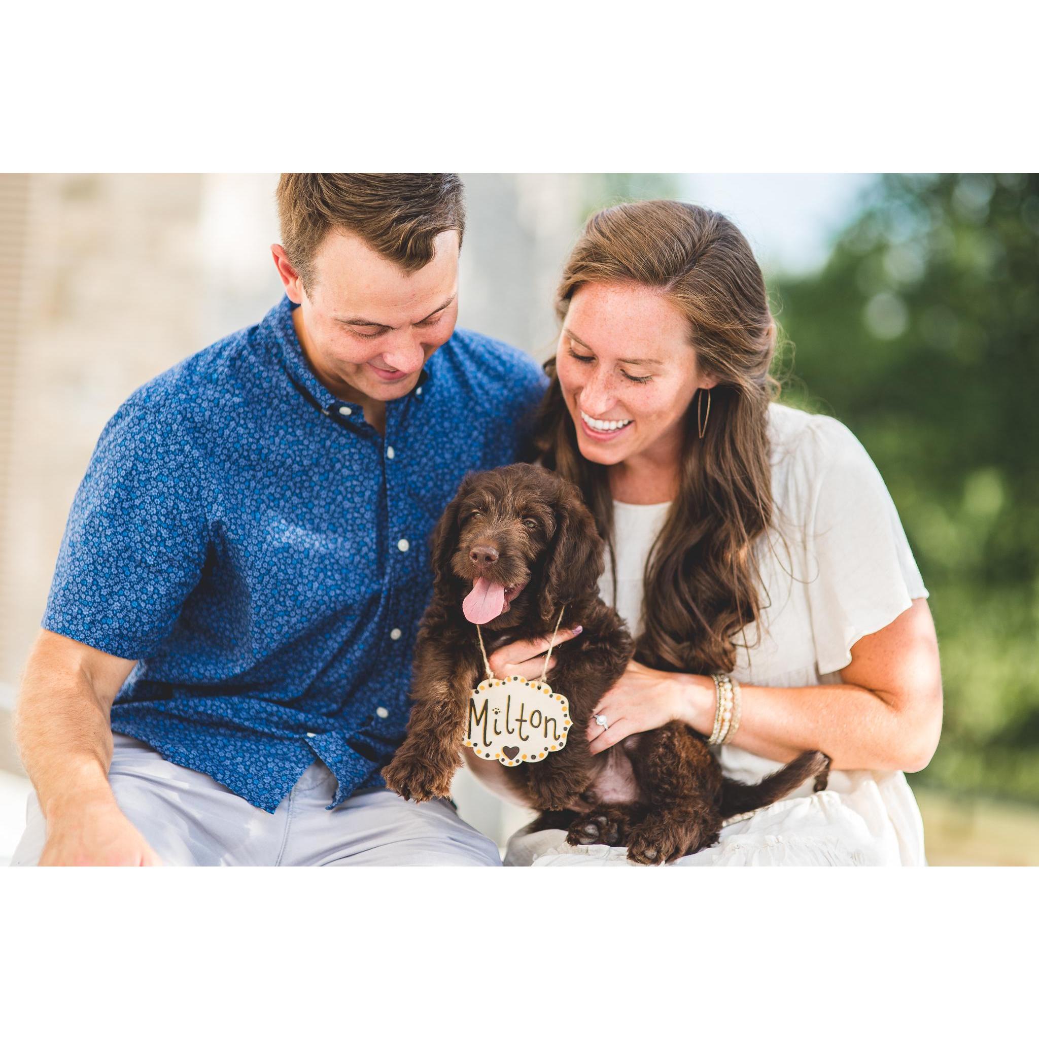 Engagement photos by the incredible Kealy Creative!