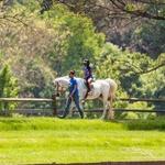 Horseback Riding