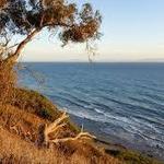 Douglas Family Preserve