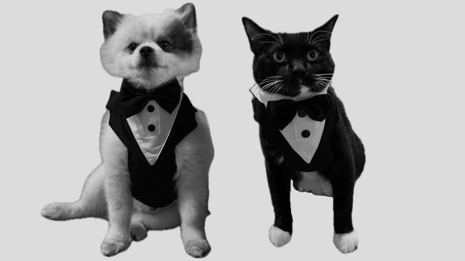 The Wedding Website of Katerine Olaya and Ethan Haycock