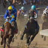 Oaklawn Hot Springs Race Track and Casino