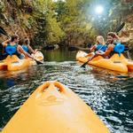 Tours & Excursions