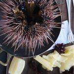 L'Oursin - Restaurant in Capitol Hill