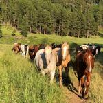 High Country Guest Ranch