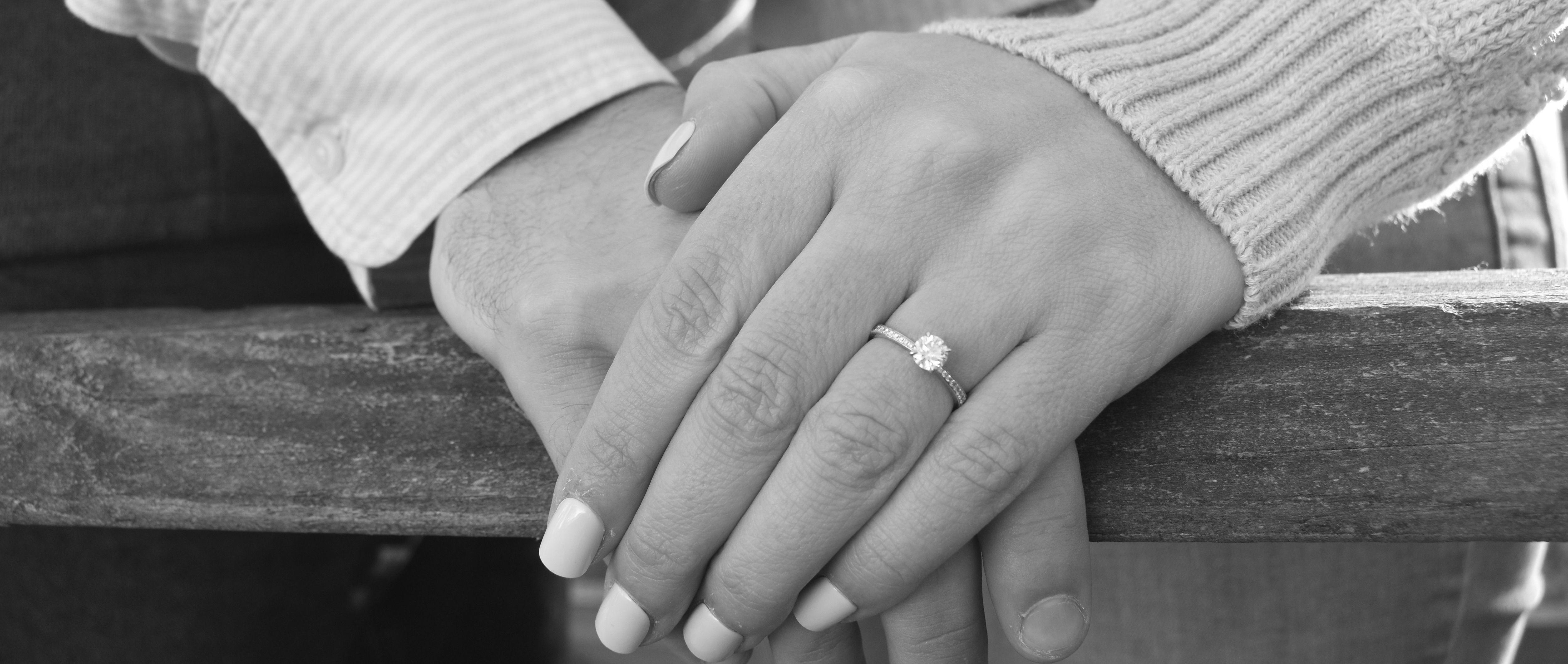 The Wedding Website of Sarah Elizabeth Laferrera and Christopher Joseph Guertler