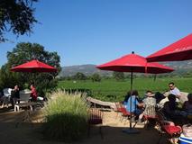 RIVINO Winery