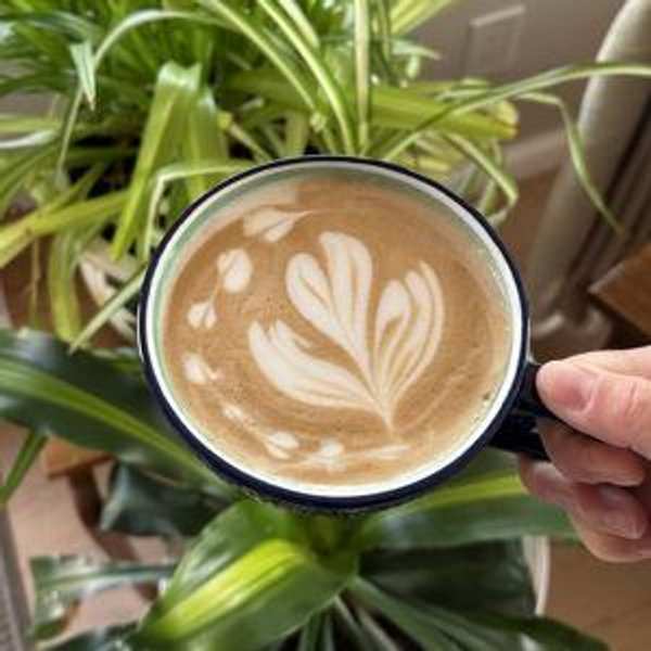 Coffee Bar Furnishing