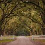 Wormsloe Historic Site