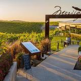 Callaway Vineyard & Winery