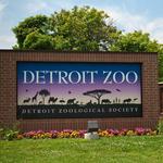 Detroit Zoo