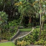 Fairchild Tropical Botanic Garden