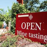 Toscana- Cata de vino en Chianti