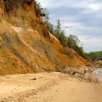 Calvert Cliffs State Park