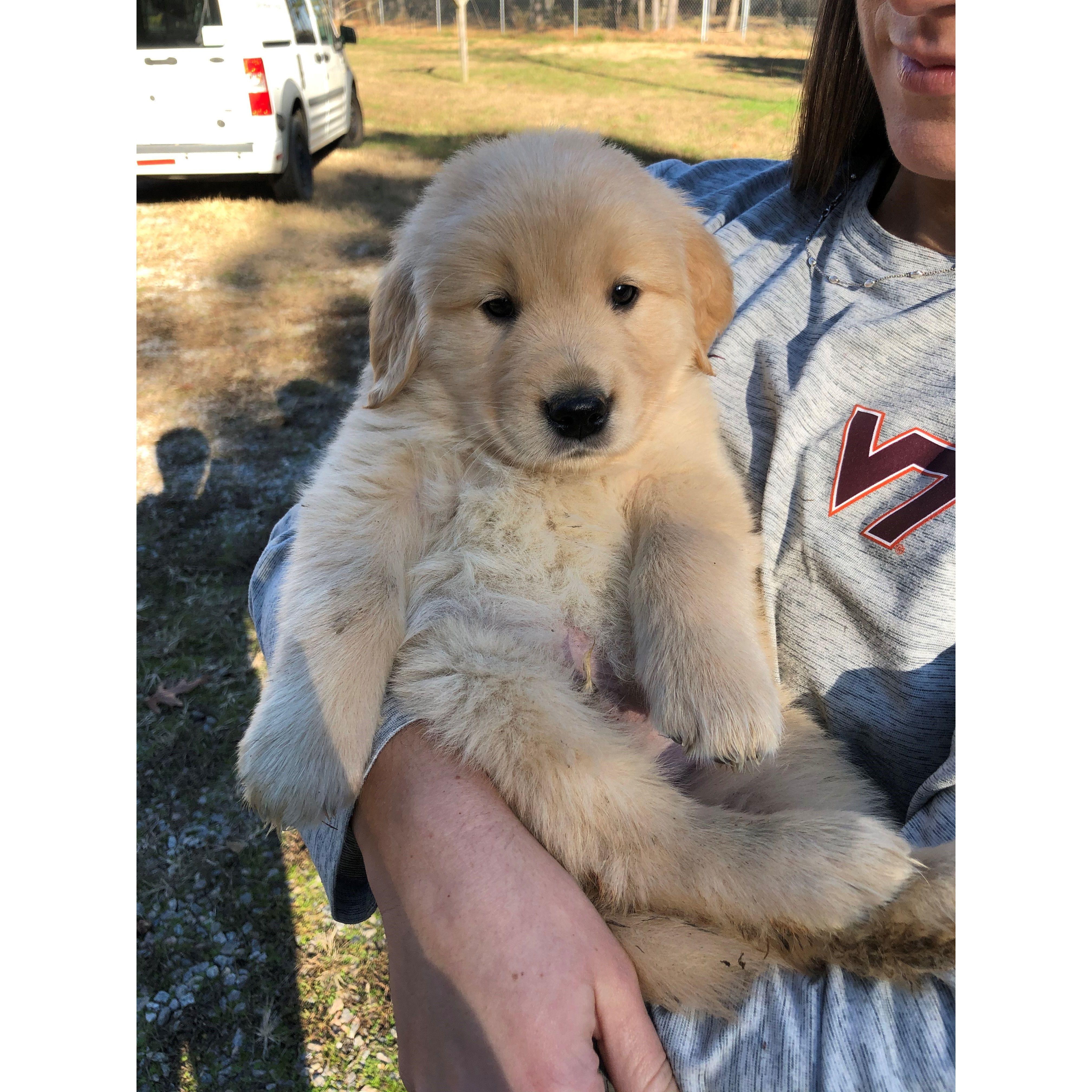 The day we picked out our fur baby, Foster!