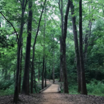 Lanana Creek Trail